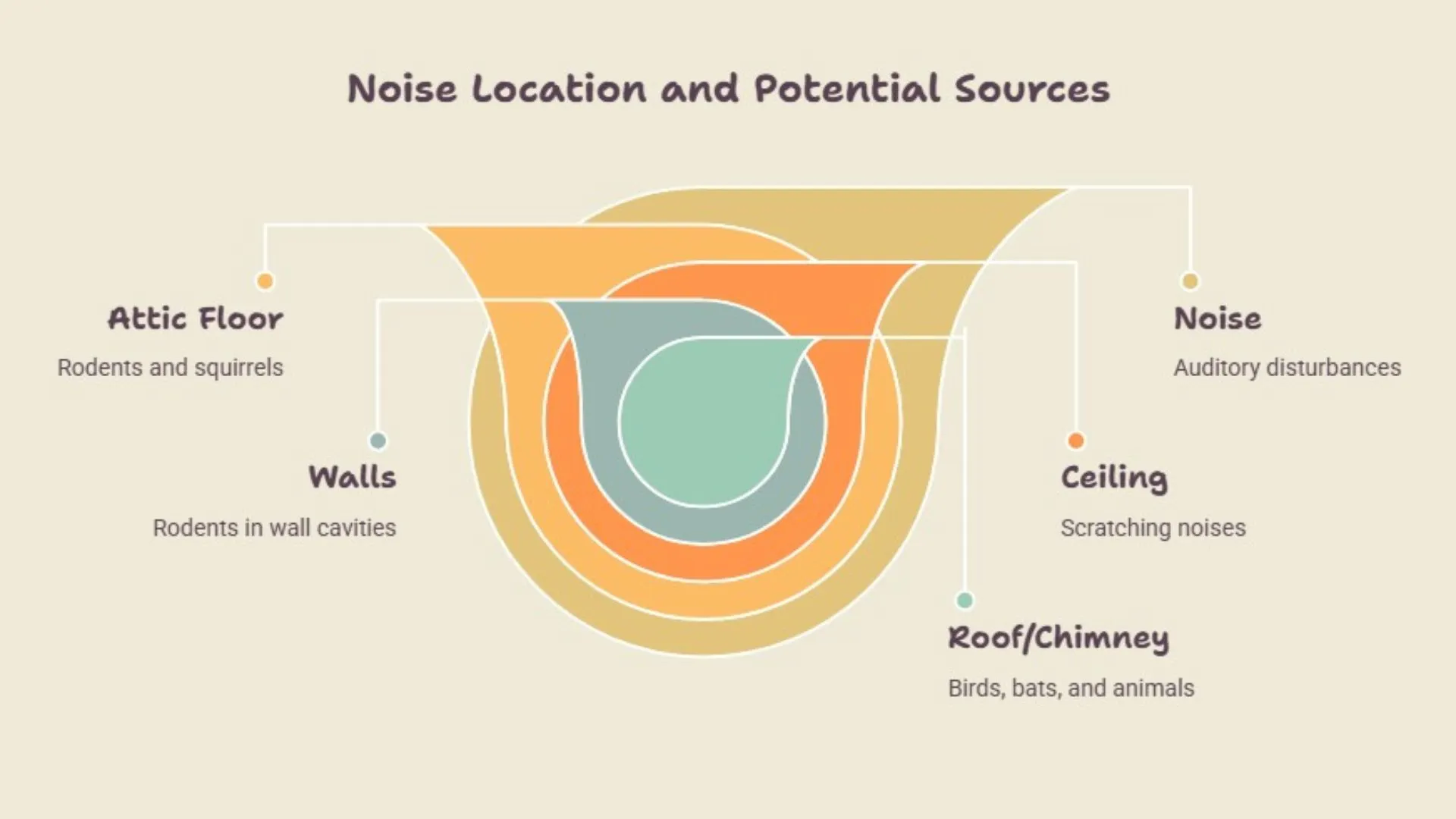 Diagram showing how noise location can help identify possible attic animals.