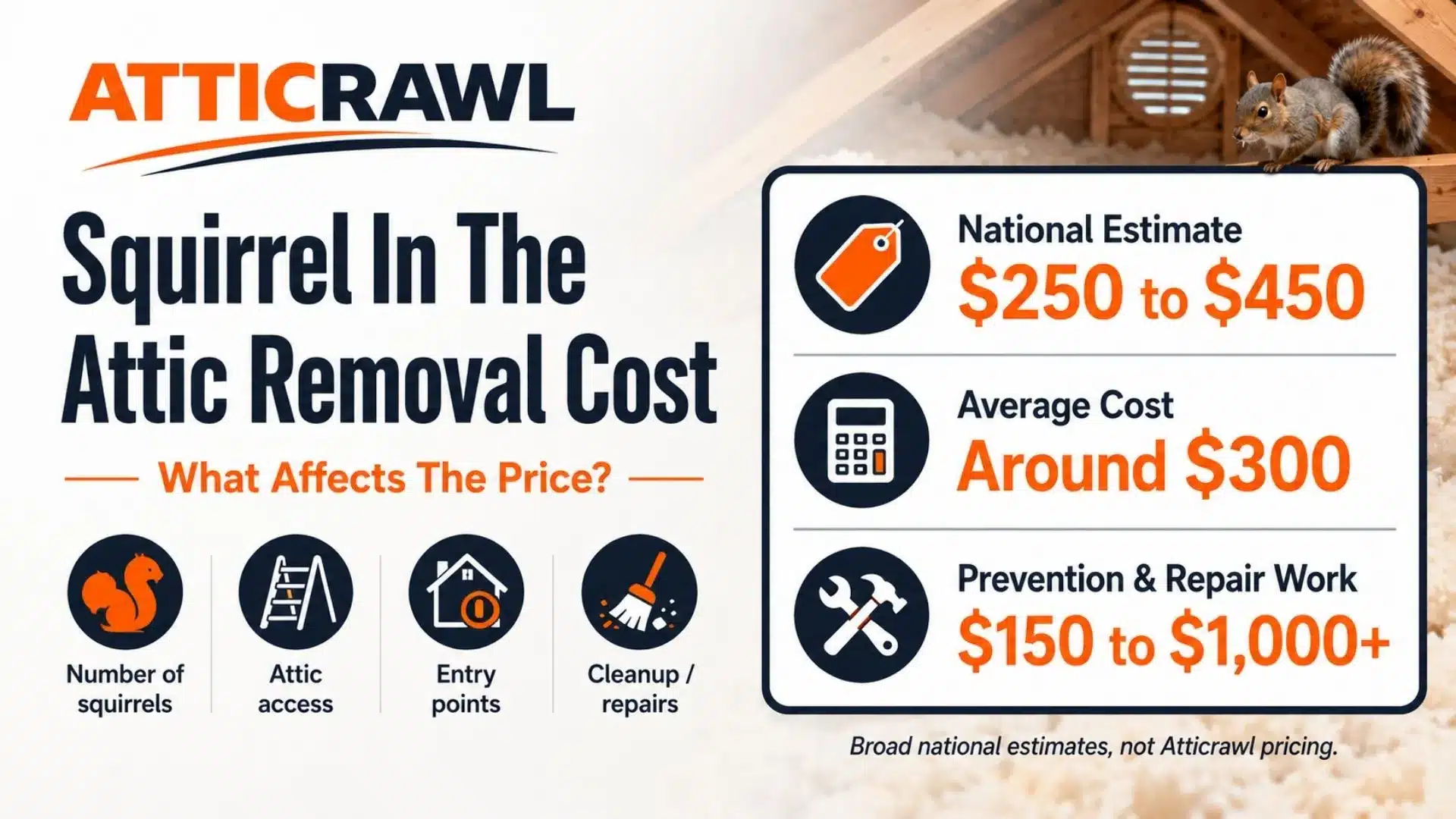A squirrel removal cost infographic shows national pricing estimates of about $250 to $450, with an average cost near $300. It also notes that prevention and repair work may add roughly $150 to $1,000 or more. The graphic highlights common cost factors such as the number of squirrels, attic access, entry points, cleanup needs, and repairs, with a squirrel shown inside an attic space.