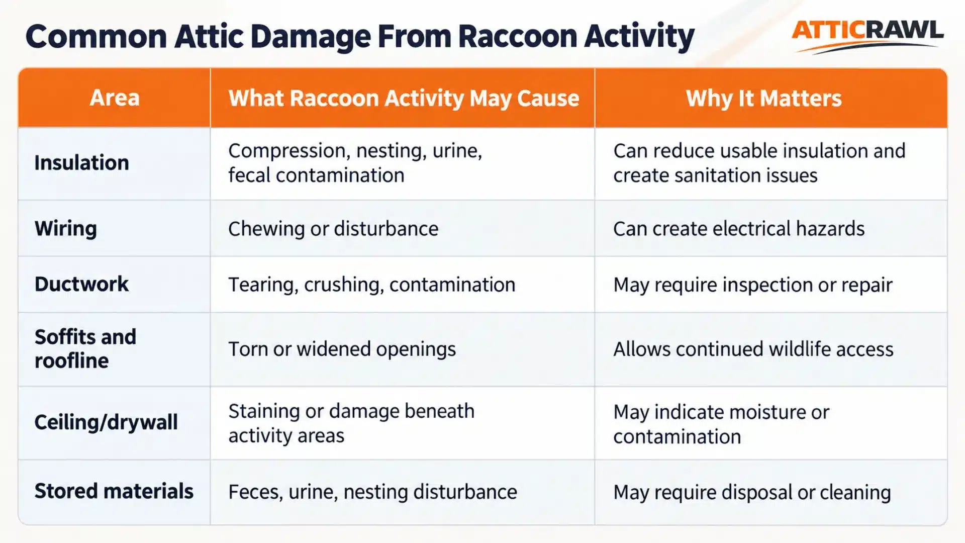A comparison table summarizes common types of attic damage caused by raccoon activity and explains why each issue matters. It shows how raccoons can compress or contaminate insulation, disturb wiring, damage ductwork, and widen openings around soffits or the roofline. The table also notes possible staining or damage to ceilings and drywall, along with contamination of stored materials from feces, urine, or nesting activity. Each row connects the type of damage with potential concerns such as electrical hazards, sanitation problems, wildlife access, repairs, or cleaning.