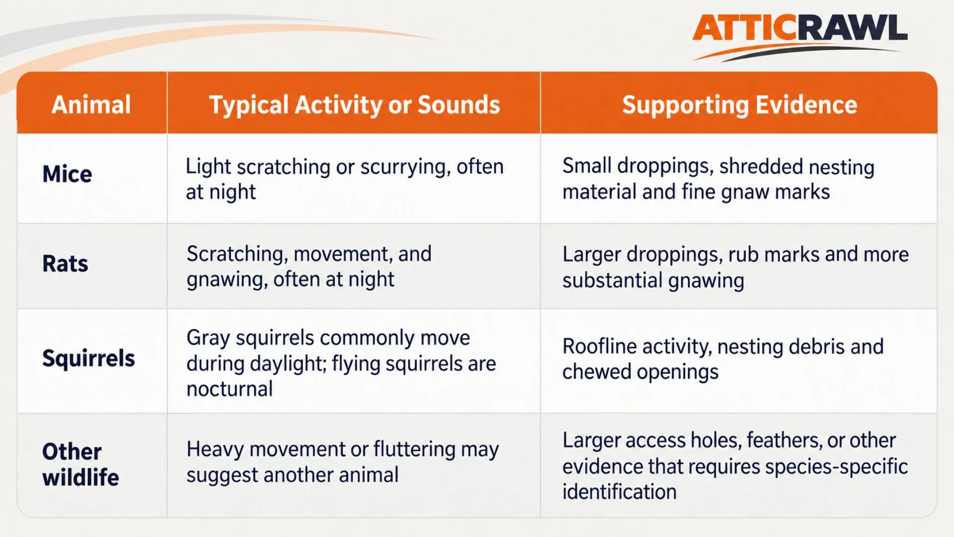 Comparison table for identifying mice, rats, squirrels and other wildlife in an attic. It lists typical sounds and activity patterns, including nighttime scratching, gnawing, daytime squirrel movement and heavier fluttering. Supporting evidence includes droppings, nesting material, rub marks, chewed openings, feathers and roofline activity.