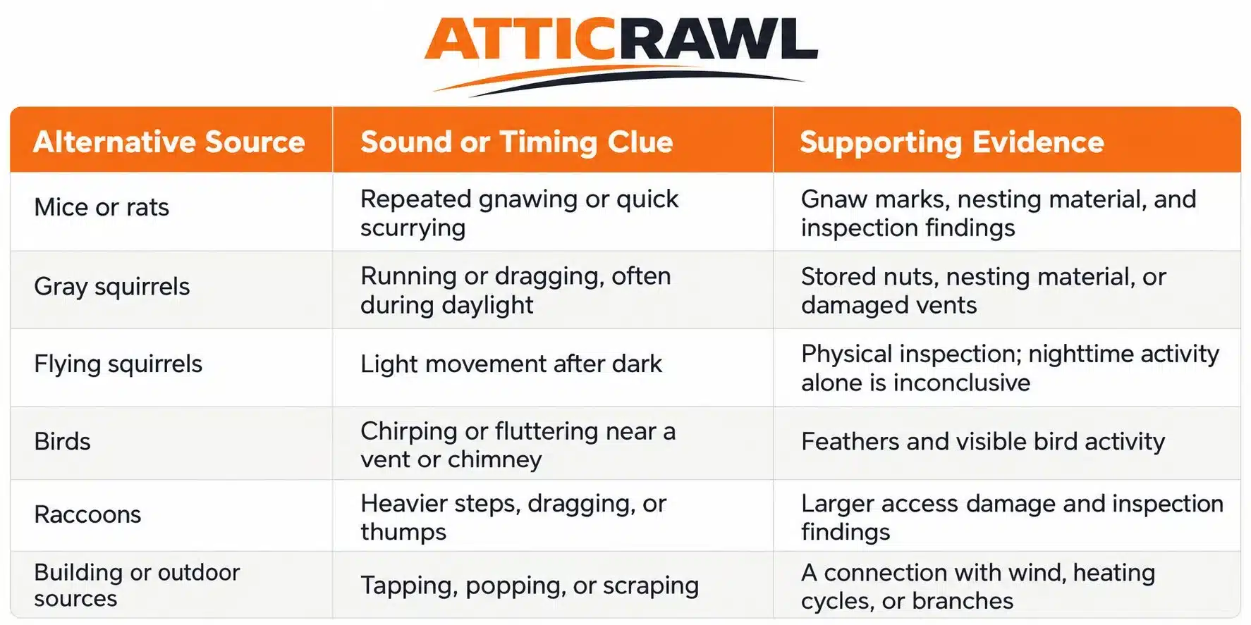 A three-column comparison table lists possible sources of attic noise alongside sound or timing clues and supporting evidence. It covers mice or rats, gray squirrels, flying squirrels, birds, raccoons, and building or outdoor sources. Examples include gnawing and quick scurrying for rodents, daylight running for gray squirrels, and heavier thumps for raccoons.